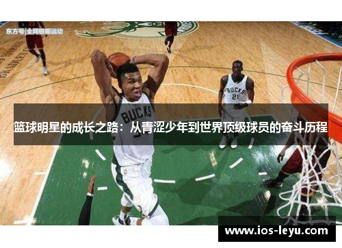 篮球明星的成长之路：从青涩少年到世界顶级球员的奋斗历程